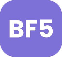 Big Five